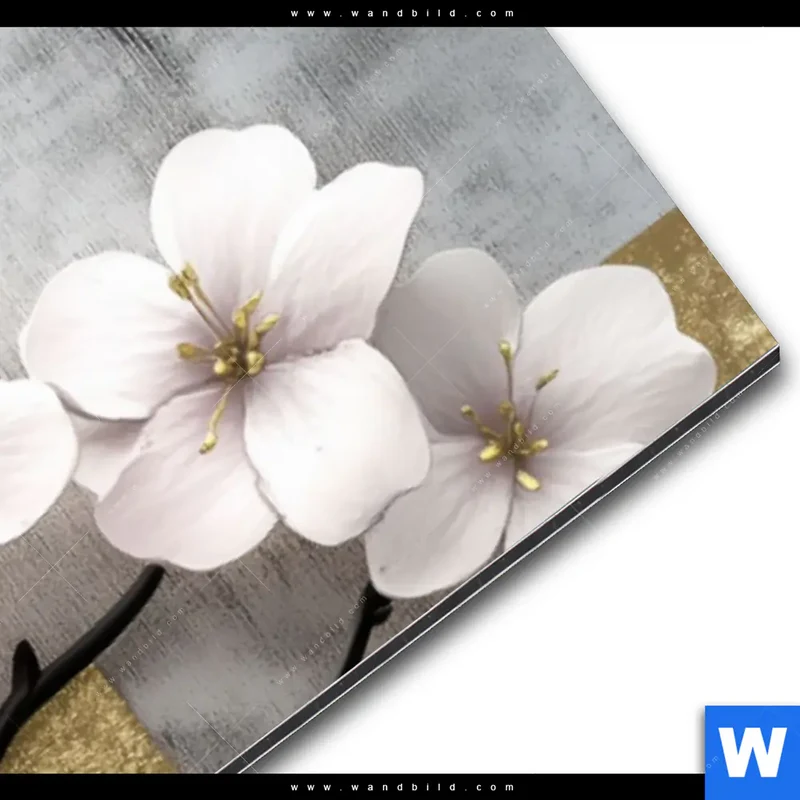 Alu-Dibond Bild | Kirschblüten in goldener Harmonie | Schmal