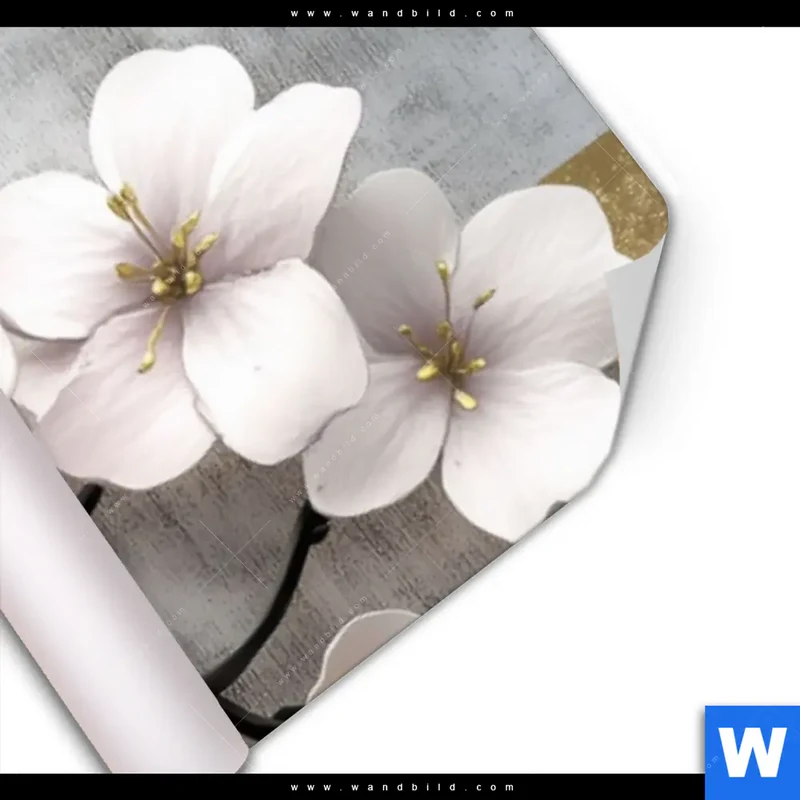 Poster | Kirschblüten in goldener Harmonie | Panorama