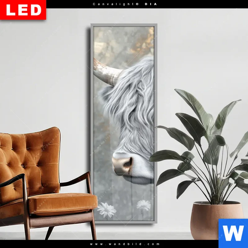 Wechselmotiv Acrylglas Canvalight® DIA | Hochlandkuh - Sanfte Stärke | Schmal