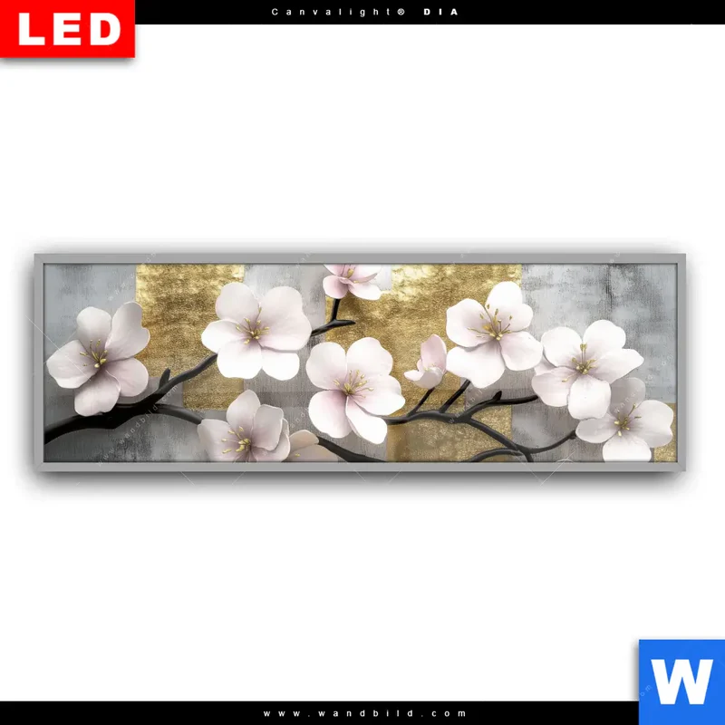 Leuchtbild Acrylglas Canvalight® DIA | Kirschblüten in goldener Harmonie | Panorama