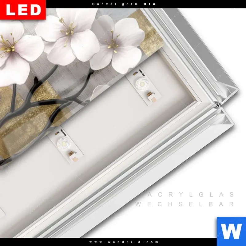 Leuchtbild Acrylglas Canvalight® DIA | Kirschblüten in goldener Harmonie | Panorama