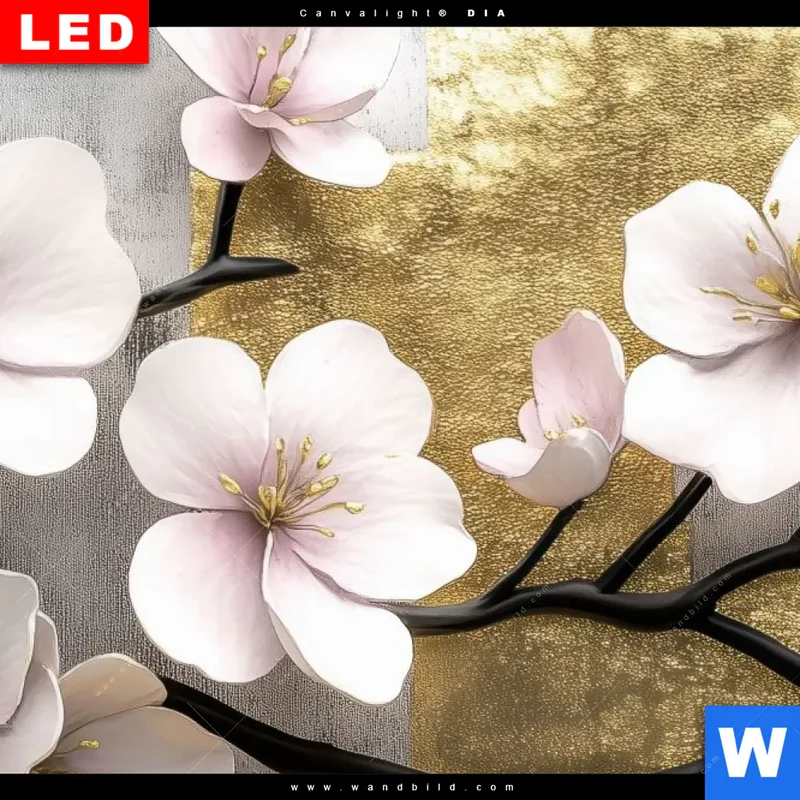 Leuchtbild Acrylglas Canvalight® DIA | Kirschblüten in goldener Harmonie | Panorama