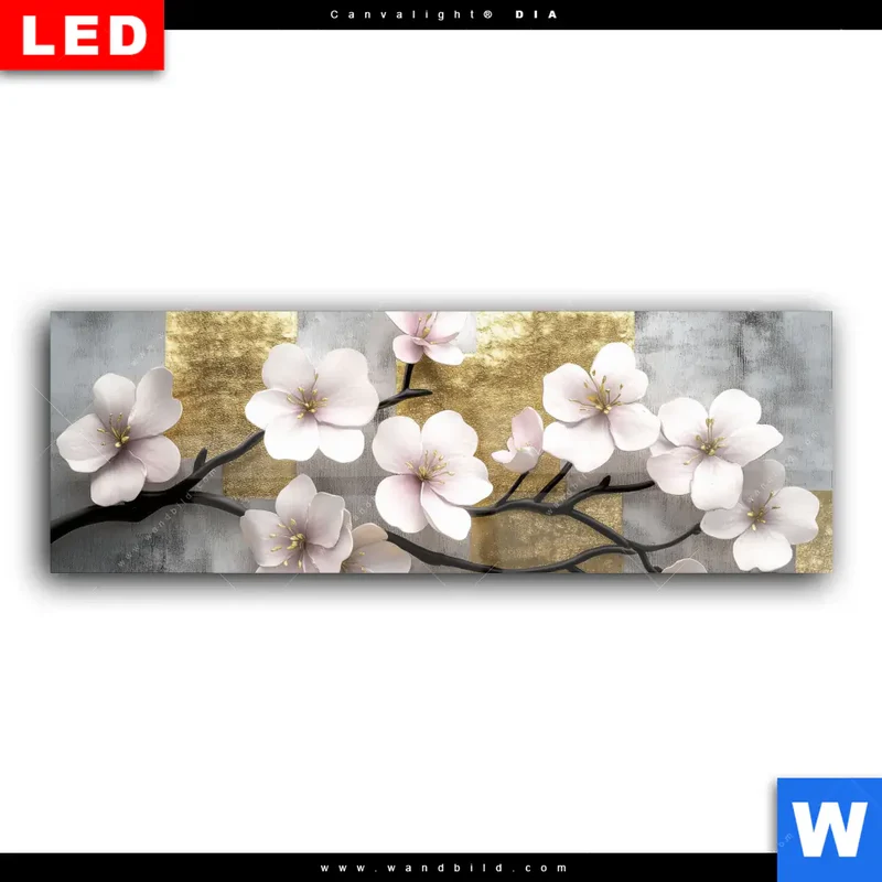 Wechselmotiv Acrylglas Canvalight® DIA | Kirschblüten in goldener Harmonie | Panorama