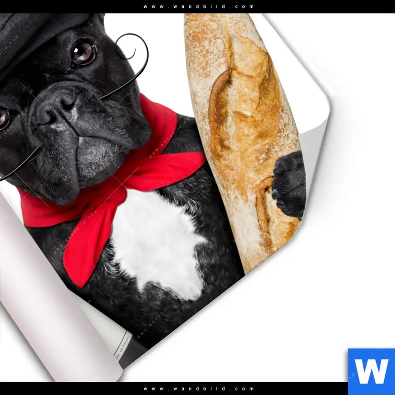 Poster | Französischer Bulldoggen-Charme mit Baguette & Wein | Quadrat