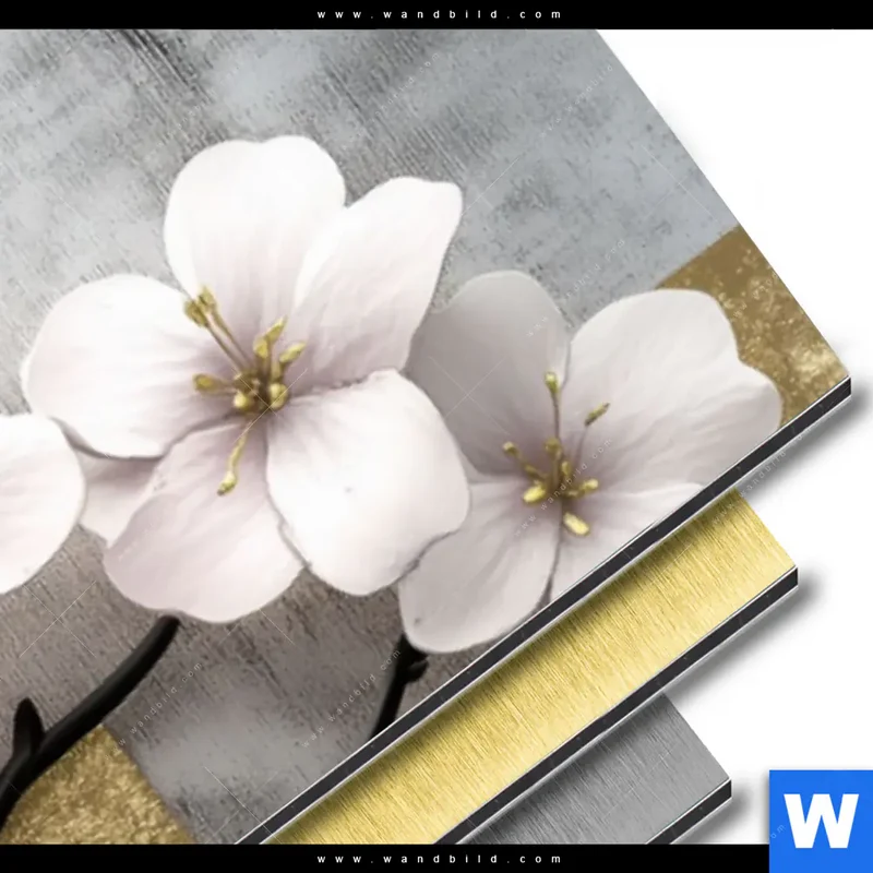 Aluminiumbild gebürstet | Kirschblüten in goldener Harmonie | Schmal