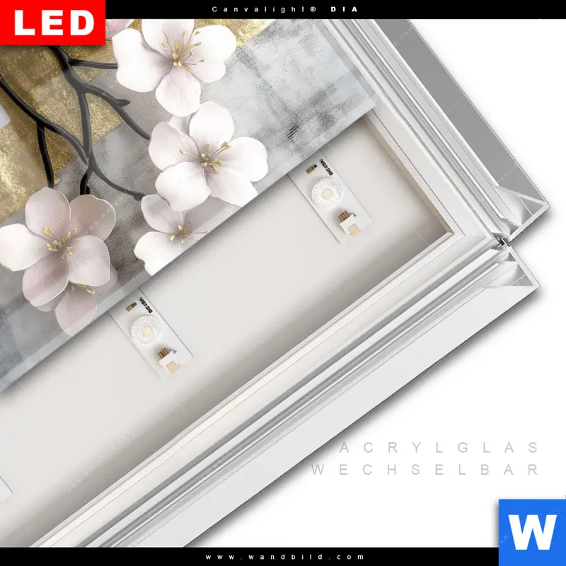 Leuchtbild Acrylglas Canvalight® DIA | Kirschblüten in goldener Harmonie | Quadrat