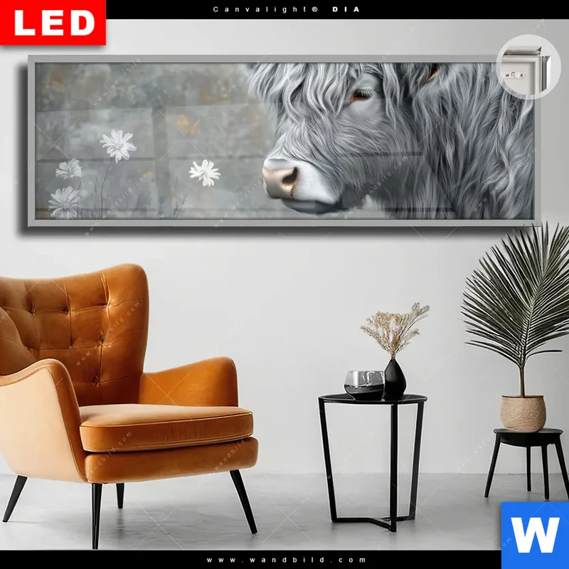 Leuchtbild Acrylglas Canvalight® DIA | Hochlandkuh - Sanfte Stärke | Panorama