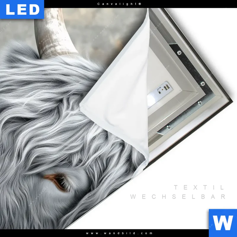 Canvalight® Leuchtbild | Hochlandkuh - Sanfte Stärke | Hochformat