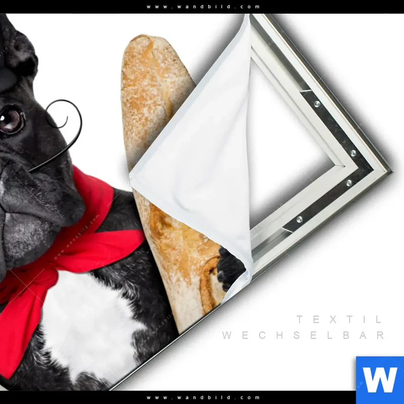 Spannbild | Französischer Bulldoggen-Charme mit Baguette & Wein | Querformat
