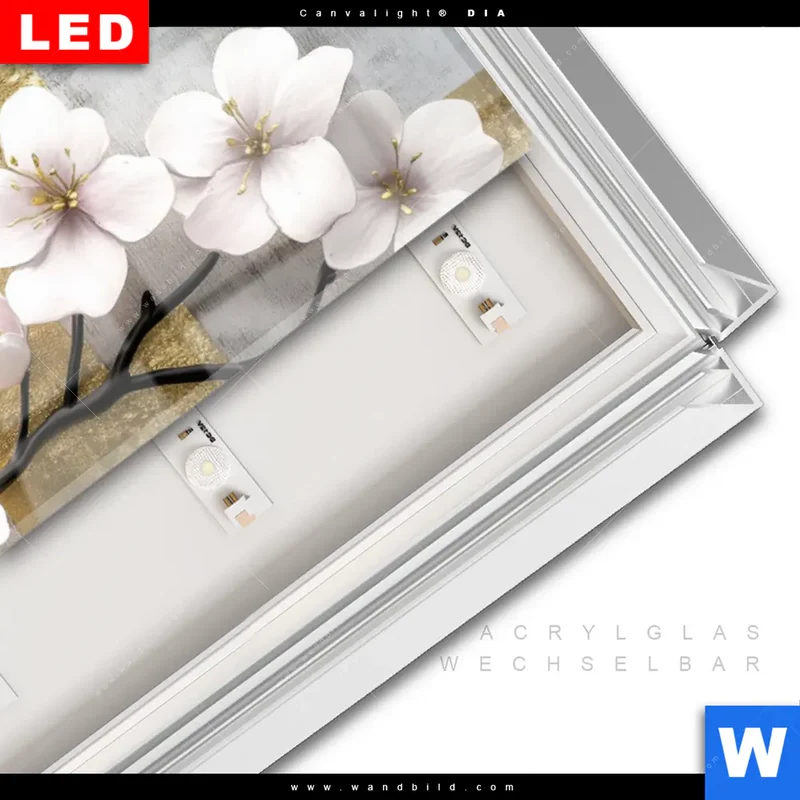 Leuchtbild Acrylglas Canvalight® DIA | Kirschblüten in goldener Harmonie | Schmal