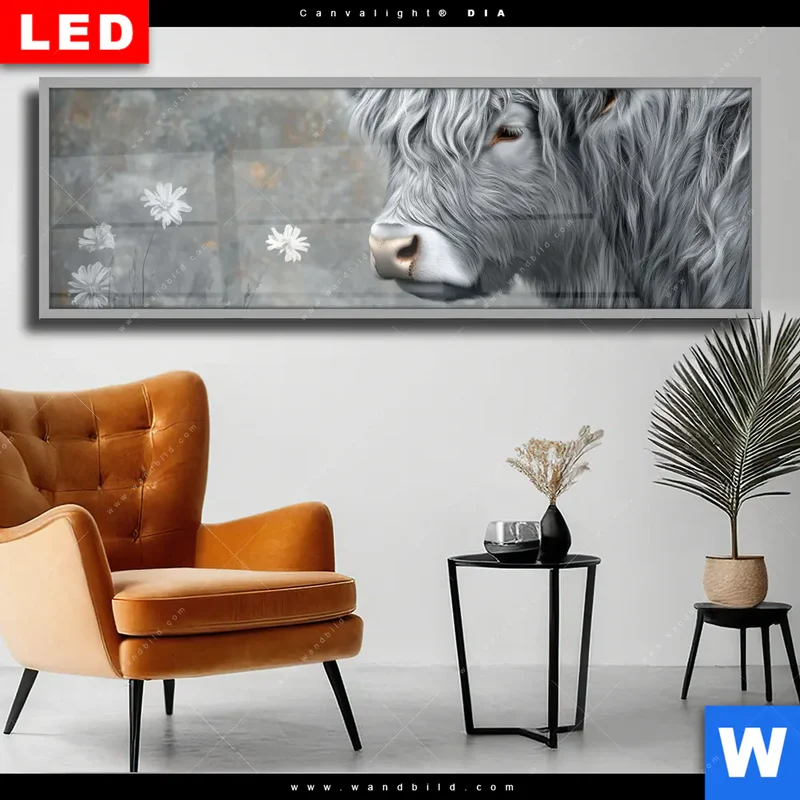 Wechselmotiv Acrylglas Canvalight® DIA | Hochlandkuh - Sanfte Stärke | Panorama