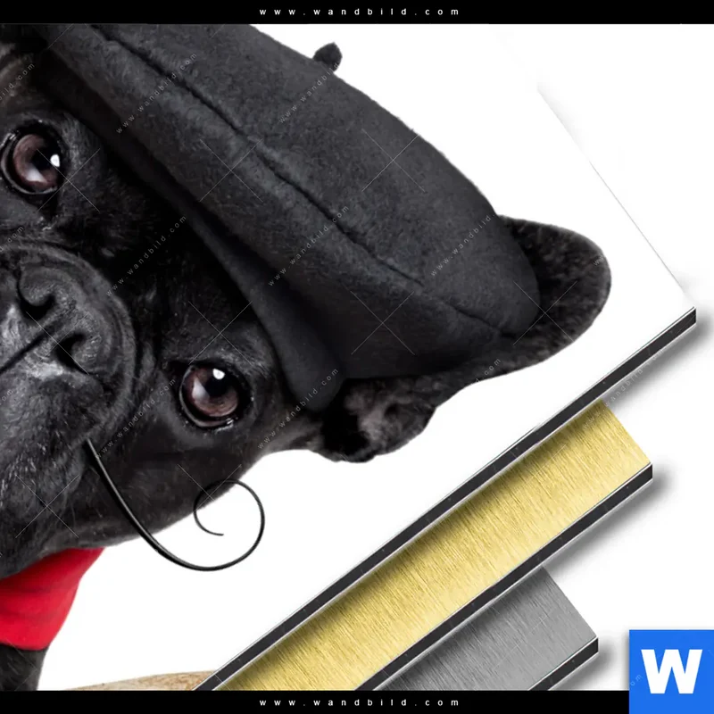 Aluminiumbild gebürstet | Französischer Bulldoggen-Charme mit Baguette & Wein | Hochformat
