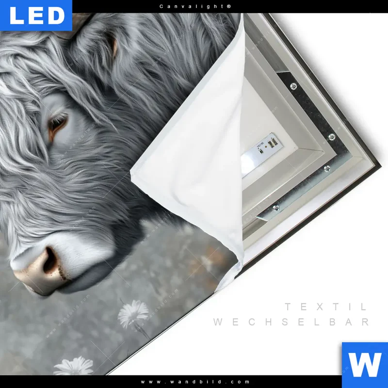 Canvalight® Leuchtbild | Hochlandkuh - Sanfte Stärke | Querformat