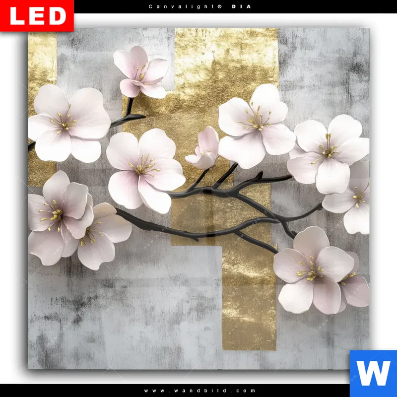 Wechselmotiv Acrylglas Canvalight® DIA | Kirschblüten in goldener Harmonie | Quadrat