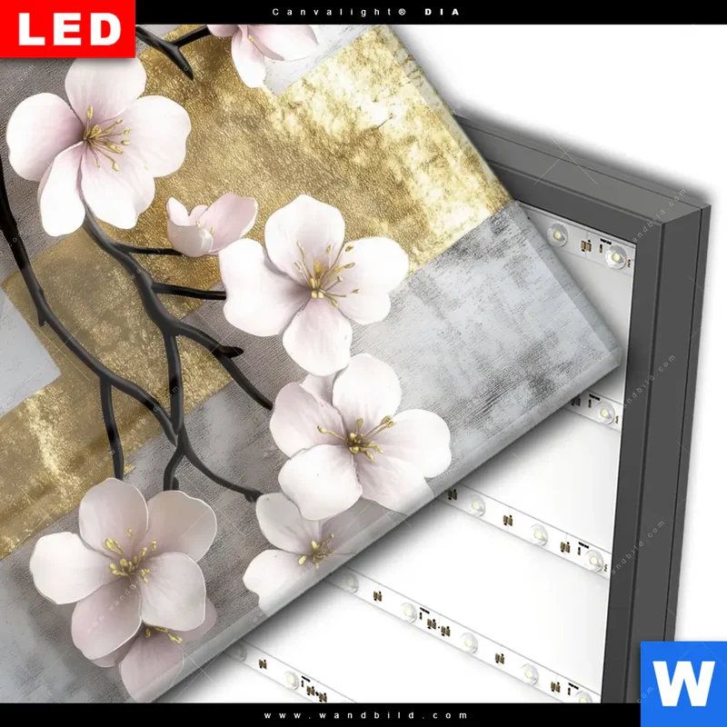 Wechselmotiv Acrylglas Canvalight® DIA | Kirschblüten in goldener Harmonie | Quadrat