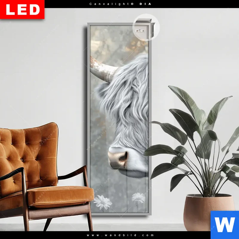 Leuchtbild Acrylglas Canvalight® DIA | Hochlandkuh - Sanfte Stärke | Schmal