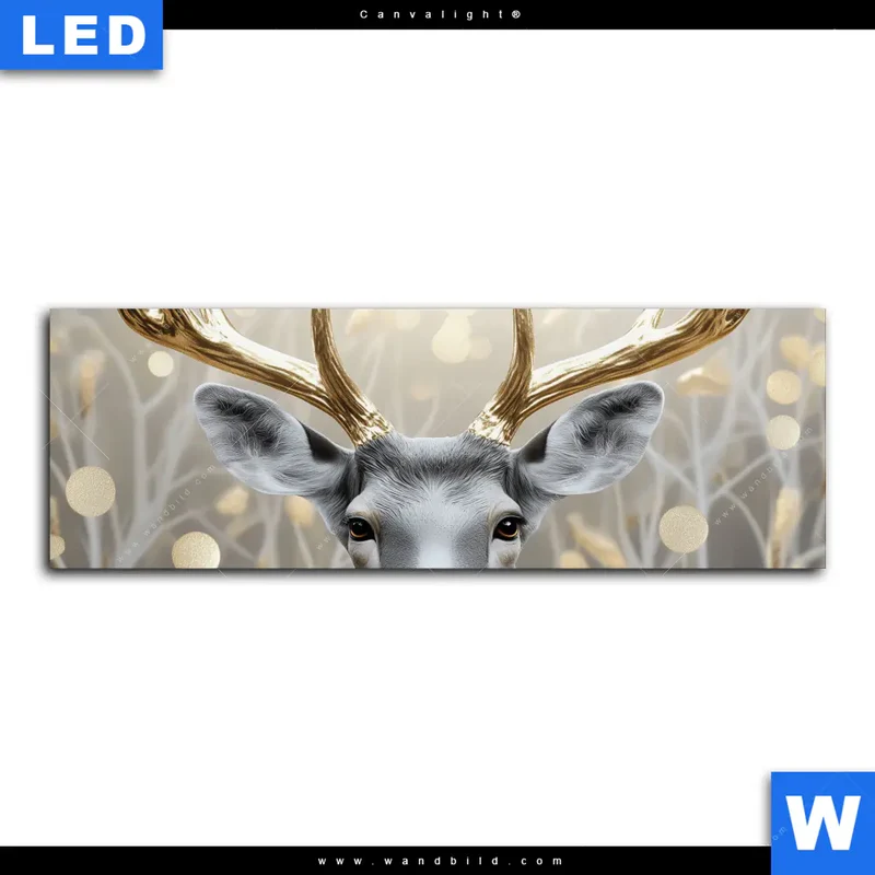 Canvalight® Leuchtbild | Hirsch mit goldenem Geweih | Panorama