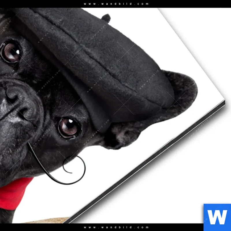 Alu-Dibond Bild | Französischer Bulldoggen-Charme mit Baguette & Wein | Hochformat