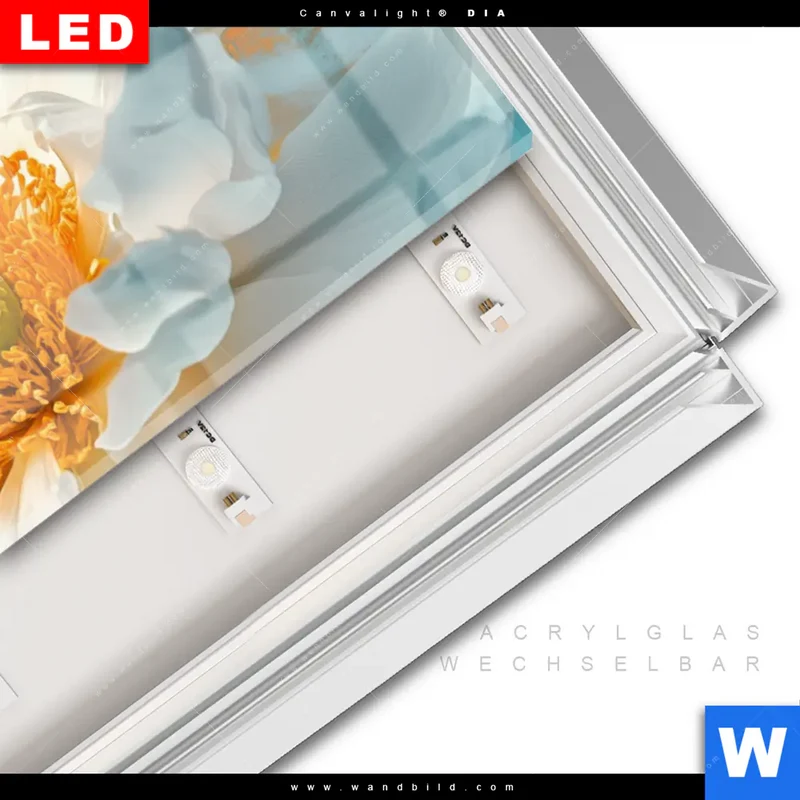 Leuchtbild Acrylglas Canvalight® DIA | Blüte im goldenen Licht | Panorama