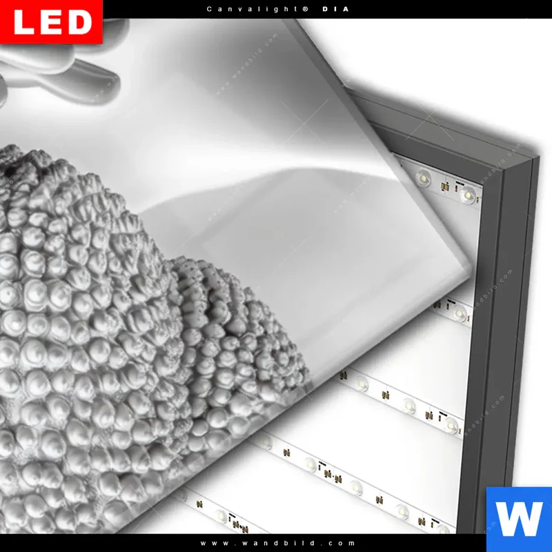 Wechselmotiv Acrylglas Canvalight® DIA | Buddha - Stille des Erwachens | Schmal