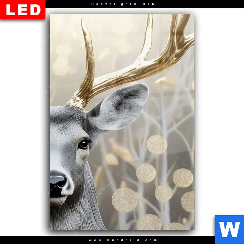 Wechselmotiv Acrylglas Canvalight® DIA | Hirsch mit goldenem Geweih | Hochformat