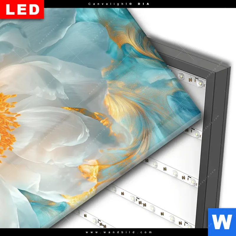 Wechselmotiv Acrylglas Canvalight® DIA | Blüte im goldenen Licht | Hochformat