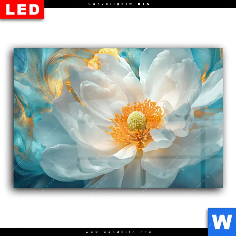 Wechselmotiv Acrylglas Canvalight® DIA | Blüte im goldenen Licht | Querformat