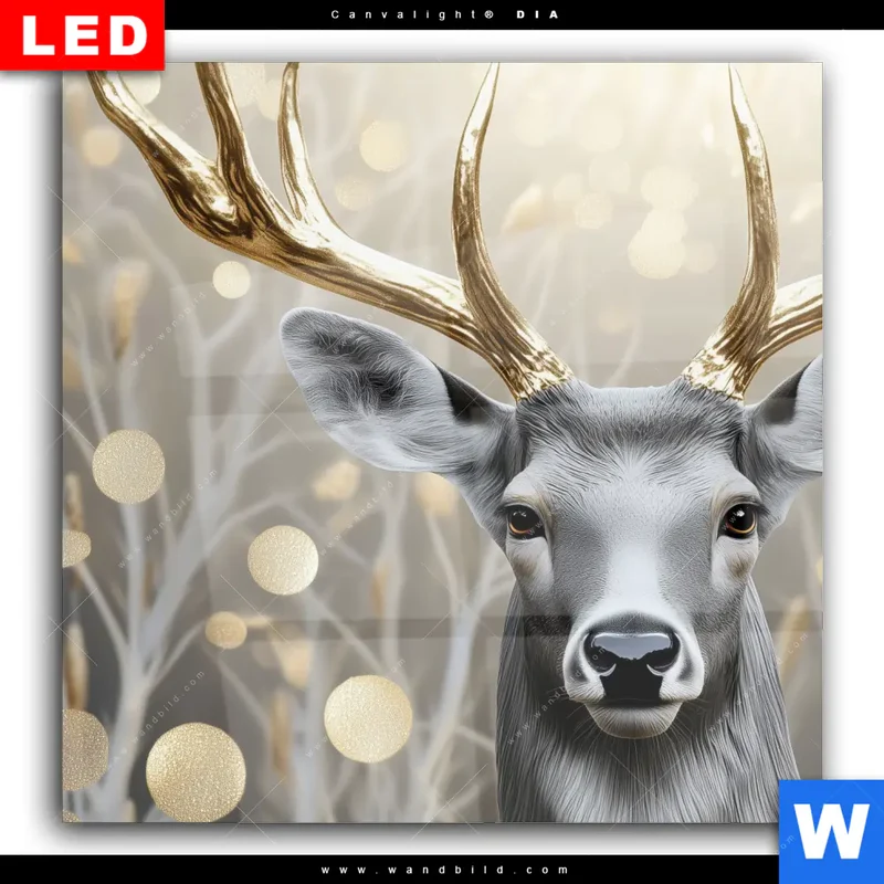 Wechselmotiv Acrylglas Canvalight® DIA | Hirsch mit goldenem Geweih | Quadrat