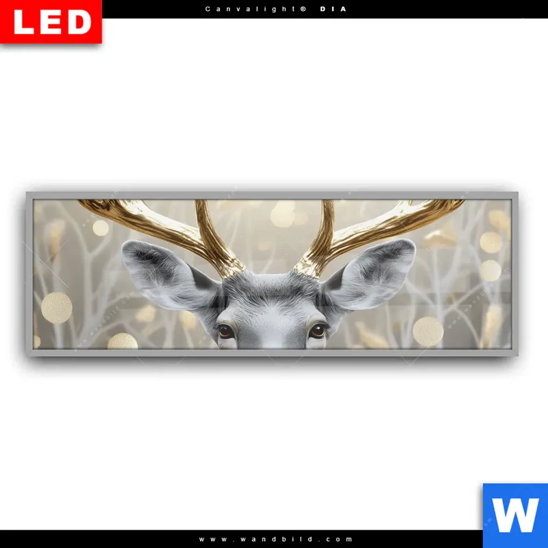 Leuchtbild Acrylglas Canvalight® DIA | Hirsch mit goldenem Geweih | Panorama