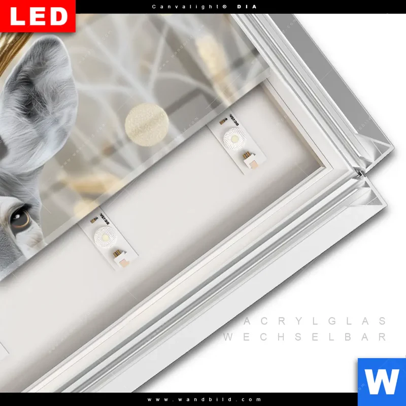 Leuchtbild Acrylglas Canvalight® DIA | Hirsch mit goldenem Geweih | Panorama