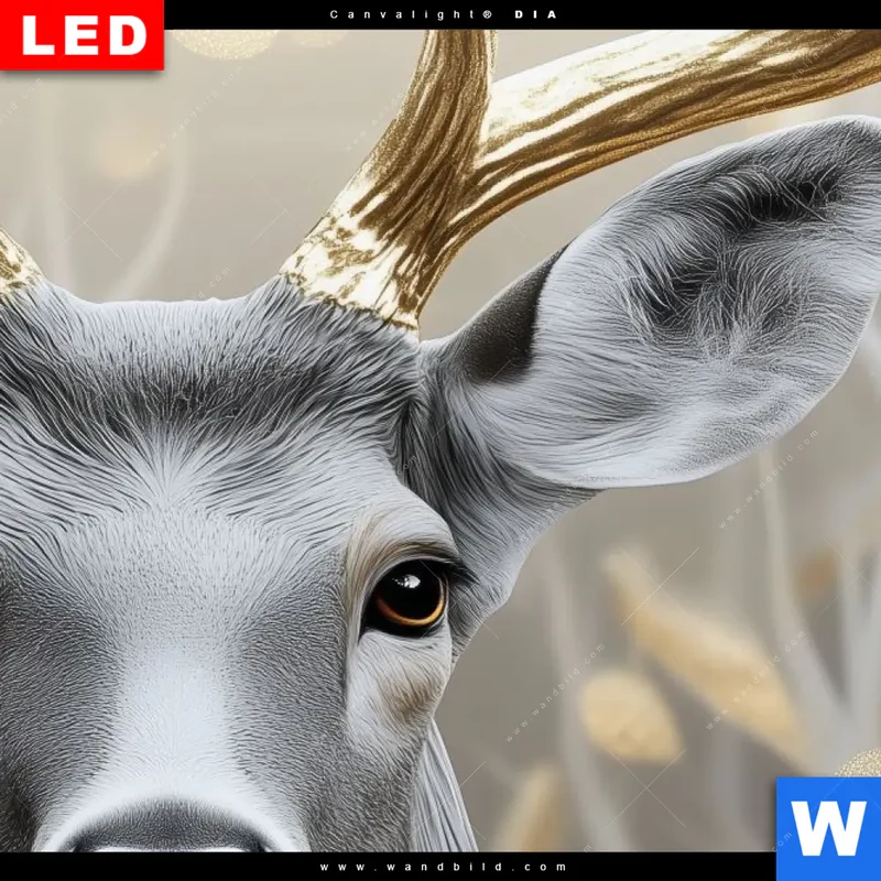 Leuchtbild Acrylglas Canvalight® DIA | Hirsch mit goldenem Geweih | Hochformat