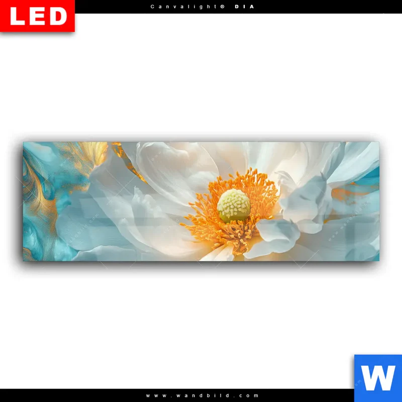 Wechselmotiv Acrylglas Canvalight® DIA | Blüte im goldenen Licht | Panorama