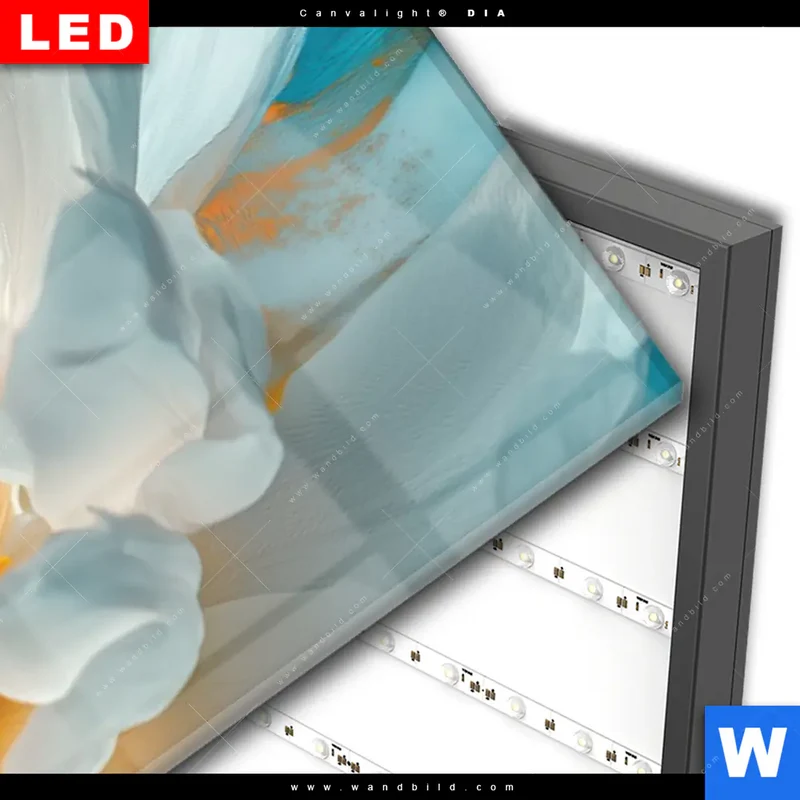 Wechselmotiv Acrylglas Canvalight® DIA | Blüte im goldenen Licht | Panorama