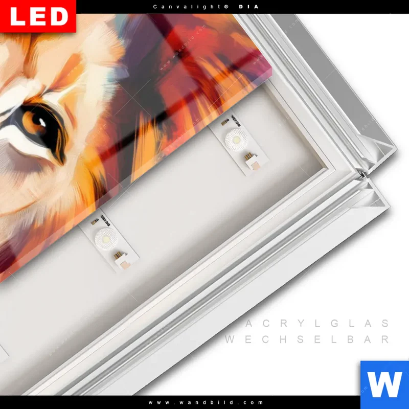 Leuchtbild Acrylglas Canvalight® DIA | Der Löwe – Kraft in Farbe | Schmal