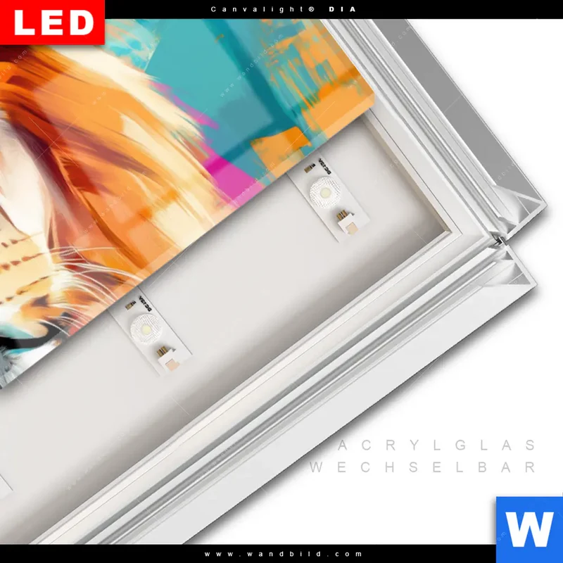 Leuchtbild Acrylglas Canvalight® DIA | Der Löwe – Kraft in Farbe | Panorama