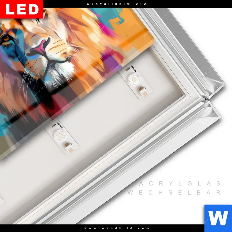Leuchtbild Acrylglas Canvalight® DIA | Der Löwe – Kraft in Farbe | Querformat