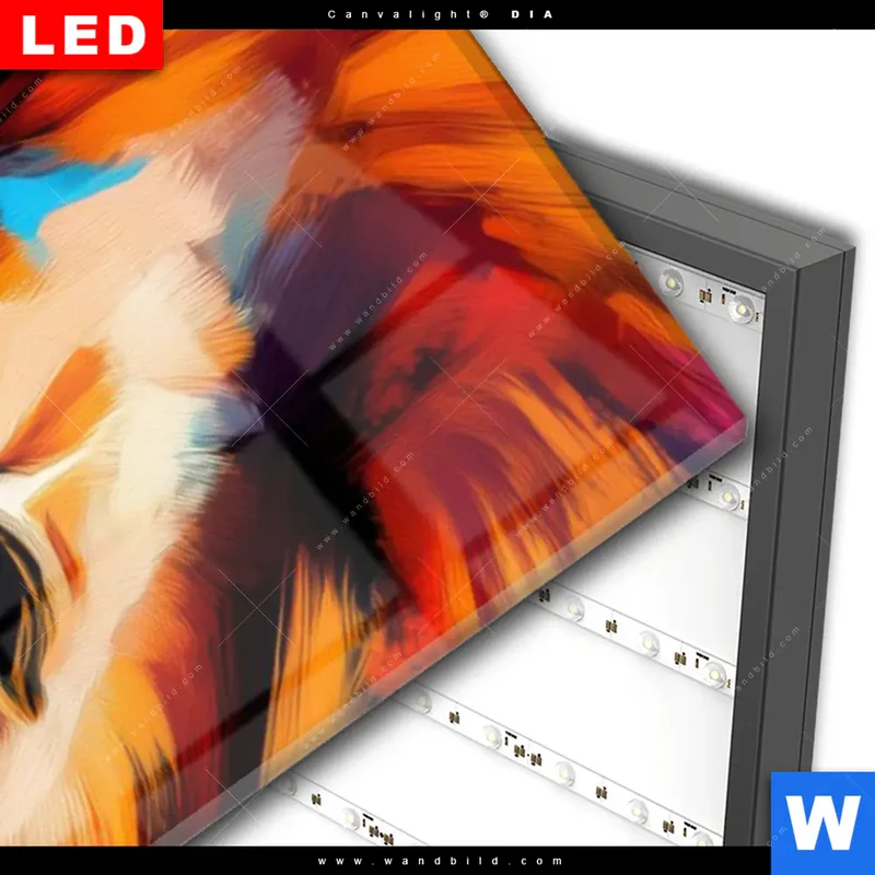 Wechselmotiv Acrylglas Canvalight® DIA | Der Löwe – Kraft in Farbe | Schmal