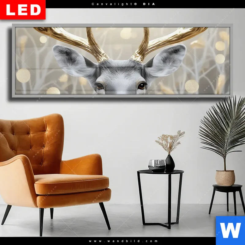 Wechselmotiv Acrylglas Canvalight® DIA | Hirsch mit goldenem Geweih | Panorama