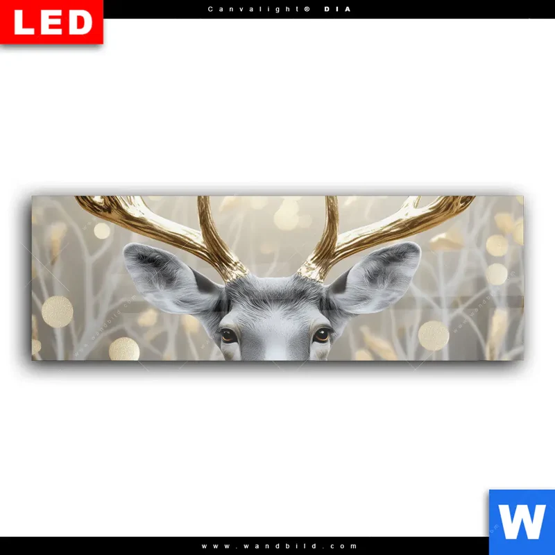 Wechselmotiv Acrylglas Canvalight® DIA | Hirsch mit goldenem Geweih | Panorama
