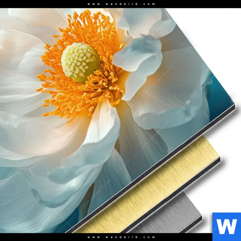 Aluminiumbild gebürstet | Blüte im goldenen Licht | Quadrat