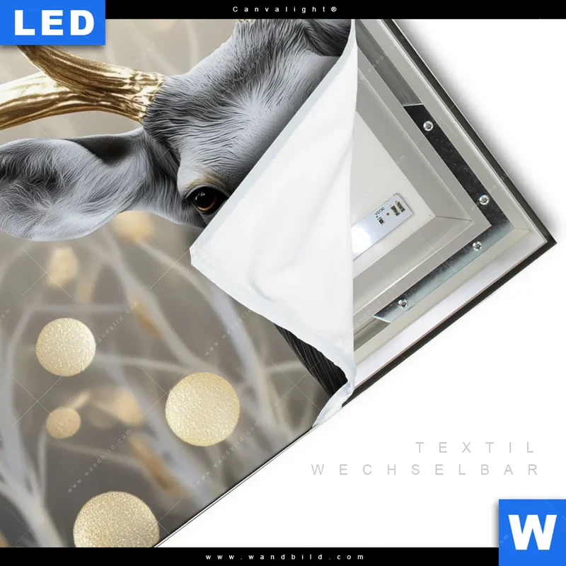 Canvalight® Leuchtbild | Hirsch mit goldenem Geweih | Quadrat