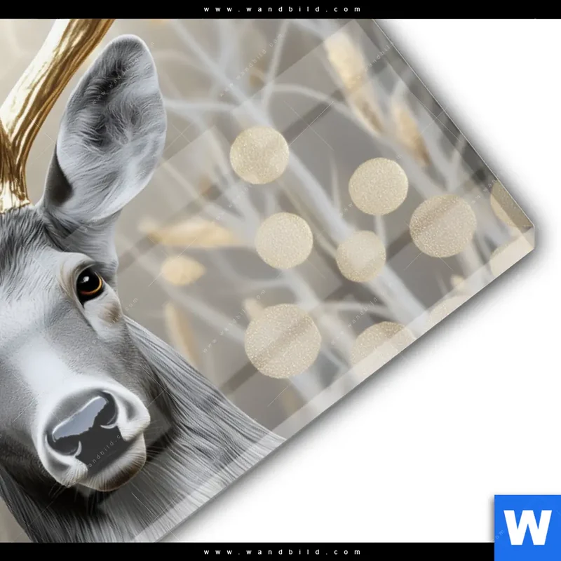Acrylglasbild | Hirsch mit goldenem Geweih | Querformat