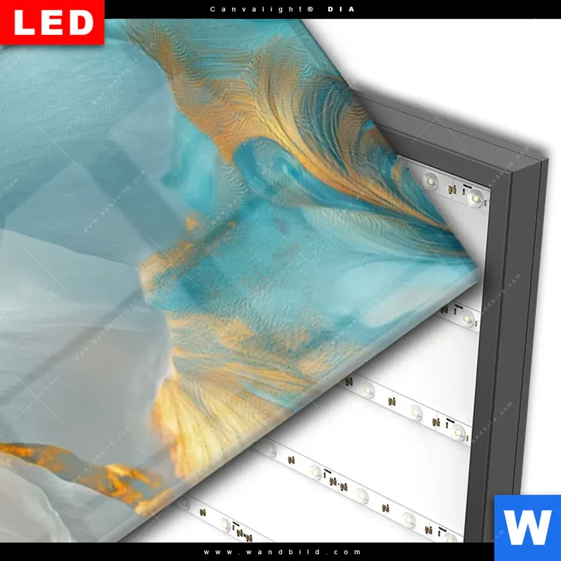 Wechselmotiv Acrylglas Canvalight® DIA | Blüte im goldenen Licht | Schmal