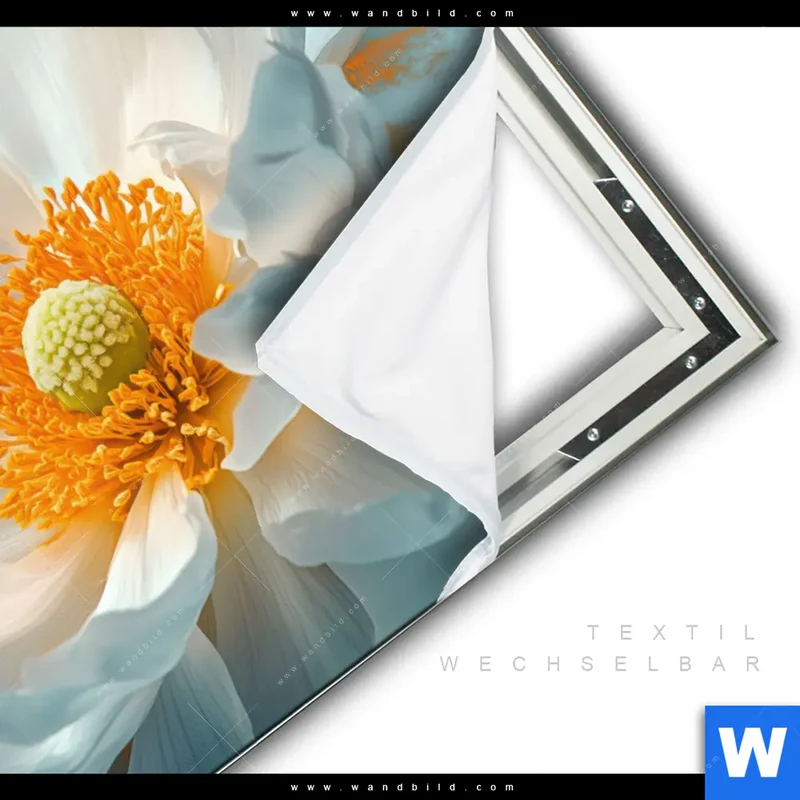 Spannbild | Blüte im goldenen Licht | Querformat