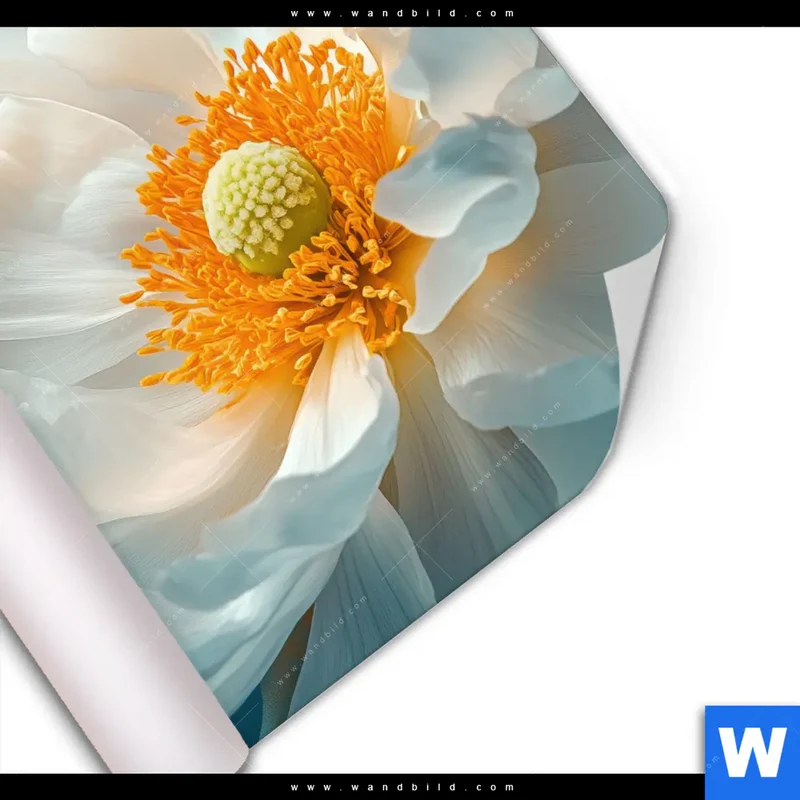 Poster | Blüte im goldenen Licht | Quadrat
