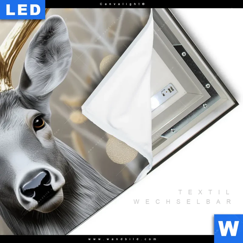 Canvalight® Leuchtbild | Hirsch mit goldenem Geweih | Querformat