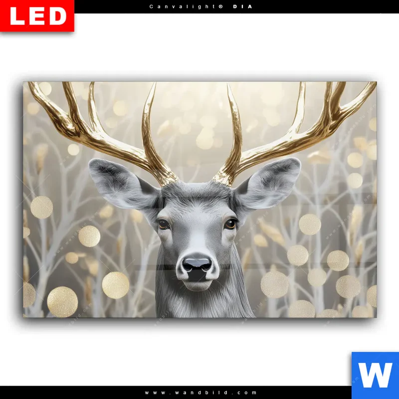 Wechselmotiv Acrylglas Canvalight® DIA | Hirsch mit goldenem Geweih | Querformat