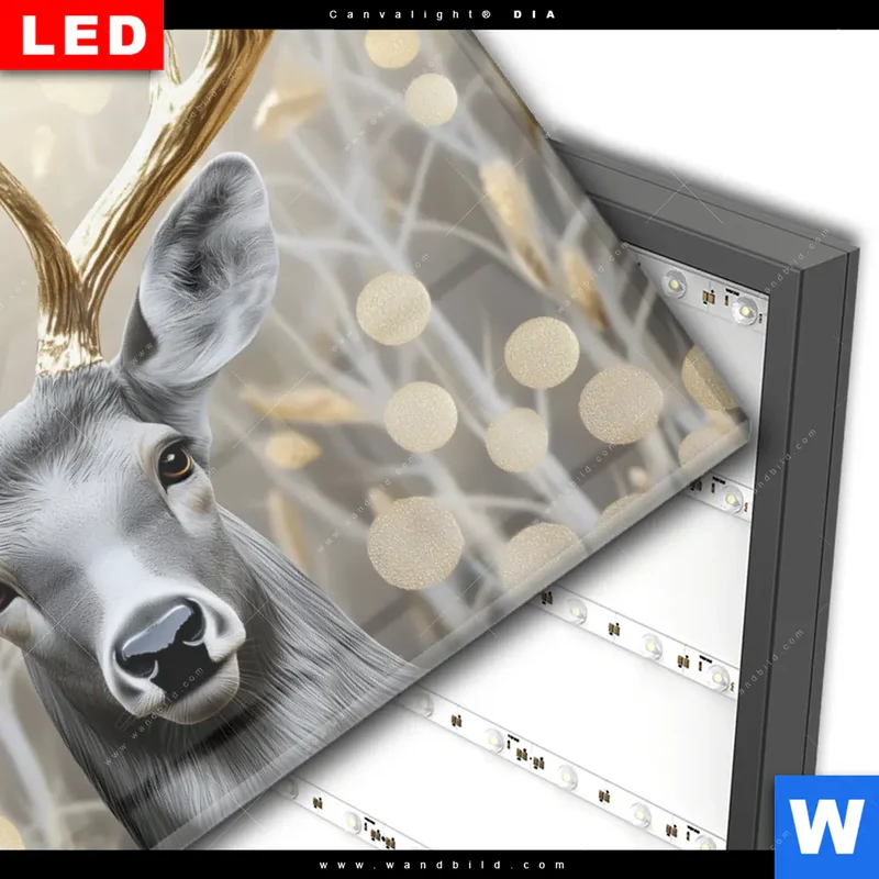 Wechselmotiv Acrylglas Canvalight® DIA | Hirsch mit goldenem Geweih | Querformat