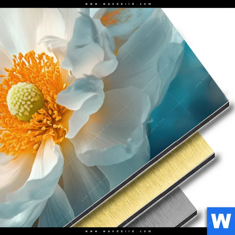 Aluminiumbild gebürstet | Blüte im goldenen Licht | Querformat