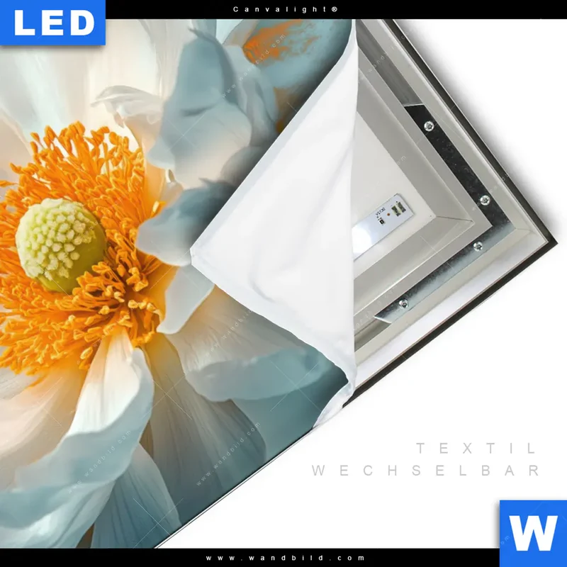Canvalight® Leuchtbild | Blüte im goldenen Licht | Querformat